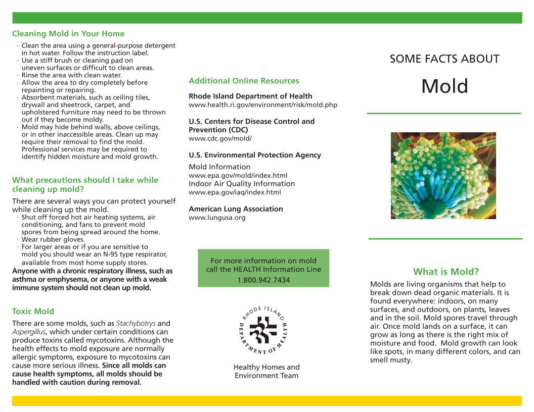 Some Facts About Mold