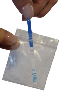 test strip in bag