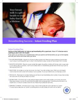 Breastfeeding Success Infant Feeding Plan
