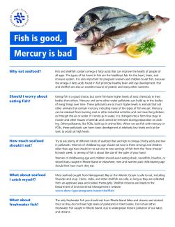 Fish is Good Mercury is Bad