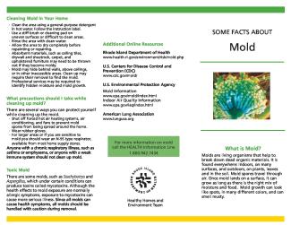 Some Facts About Mold