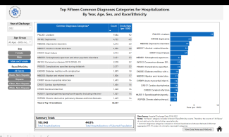 Top Fifteen Common Diagnoses Categories for Hospitalizations