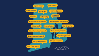 Linguistic RI