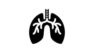 lung icon