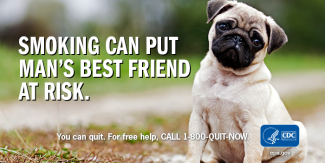 Pug looking at the camera. Text on image reads "Smoking can put man's best friend at risk. You can quit. For free help: 1-800-QUIT-NOW."